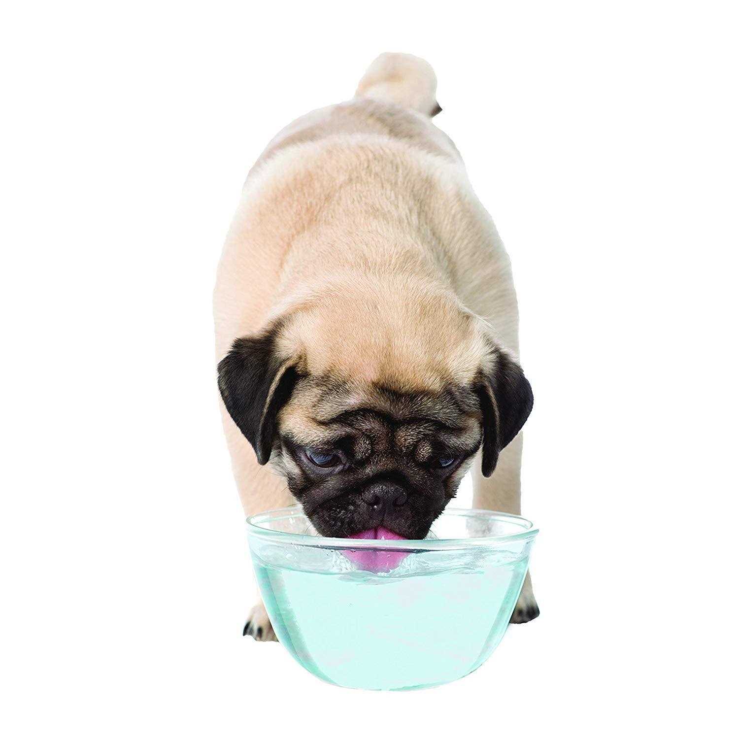 Alternative view of Nylabone Advanced Oral Care Liquid Tartar Remover Water Additive for Dogs