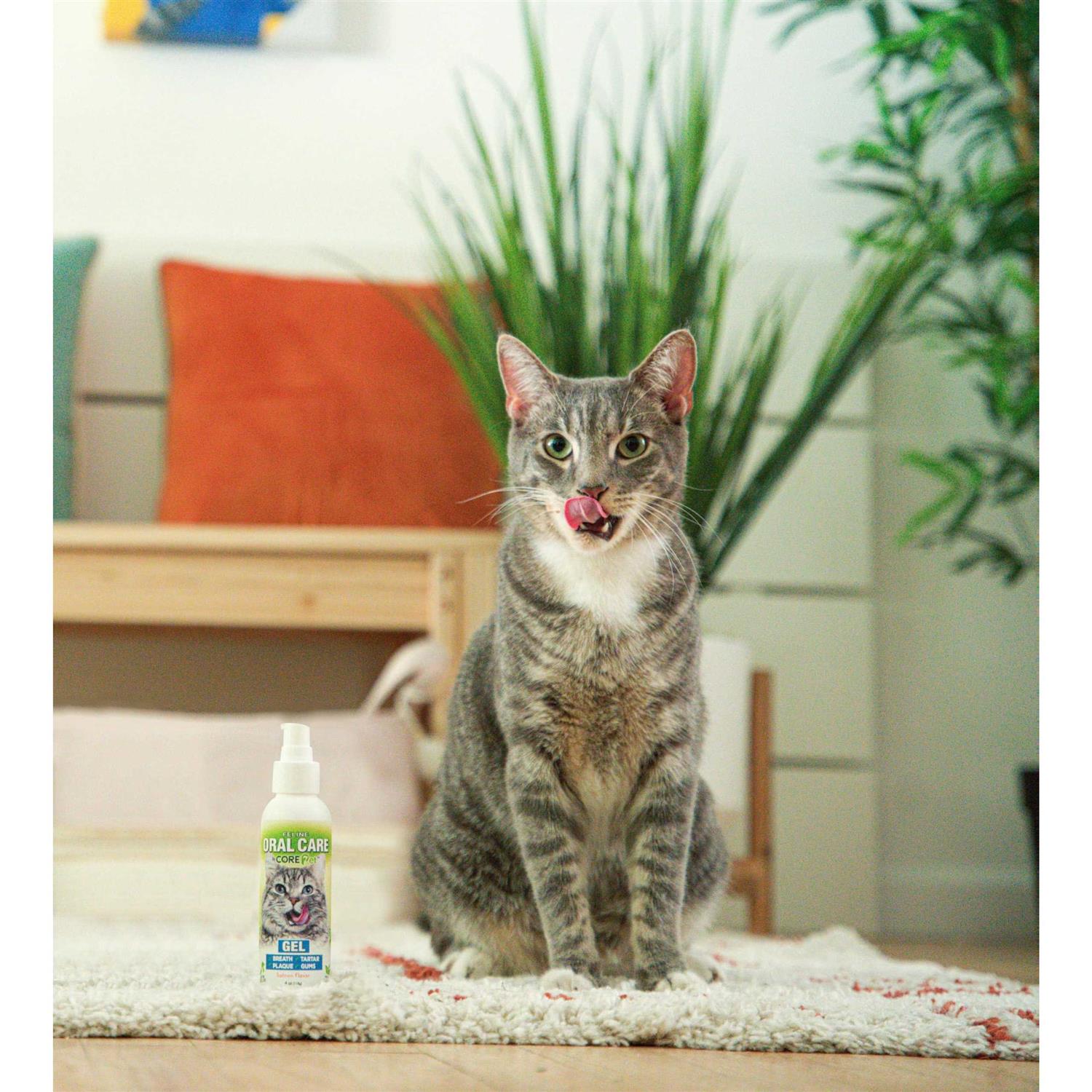 Alternative view of Core Pet Complete Oral Care Gel Salmon 4 oz