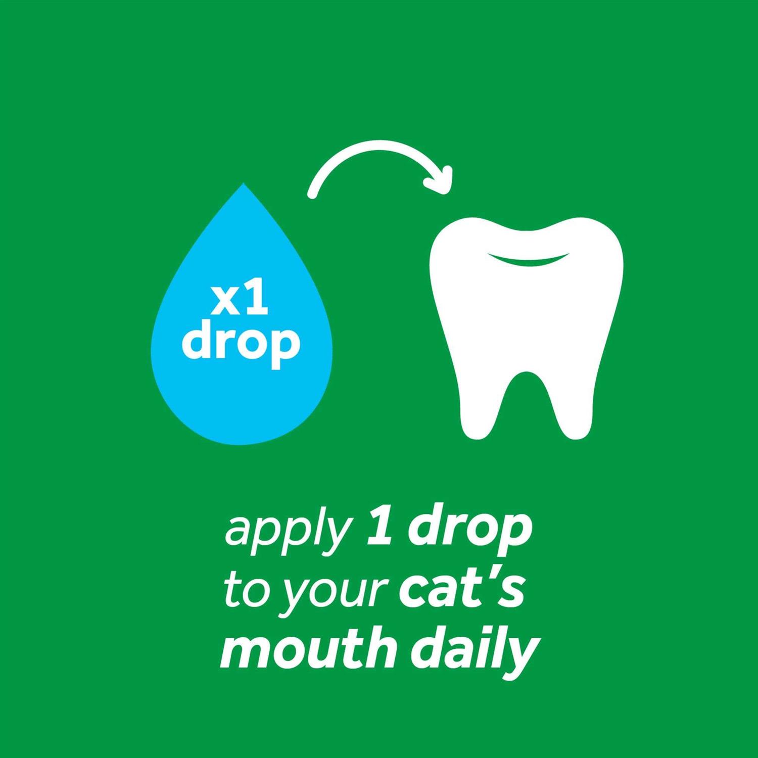 Alternative view of TropiClean Fresh Breath Clean Teeth Gel for Cats