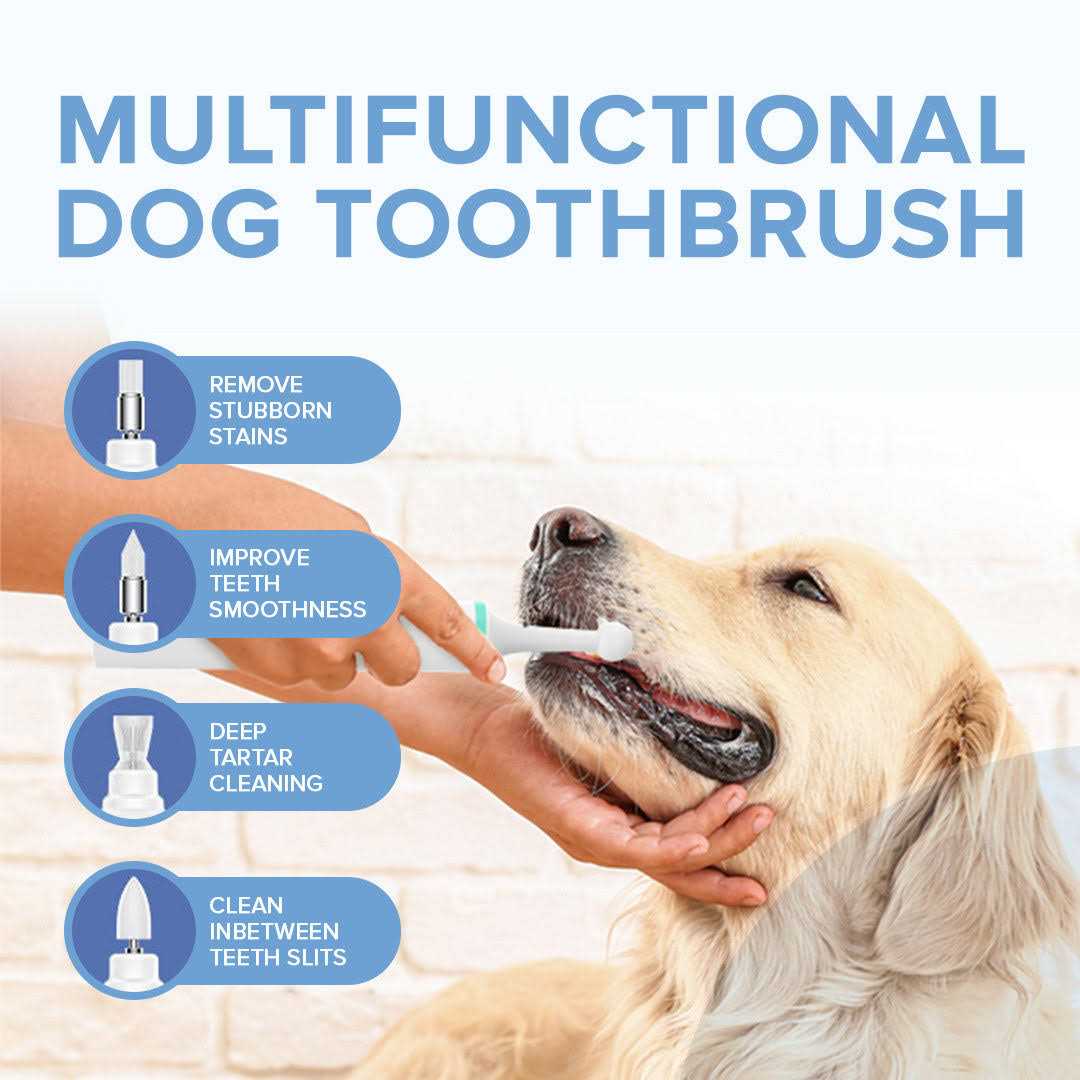 Alternative view of PupsDream Electric Toothbrush for Dogs with Specialized Brush Heads Colour