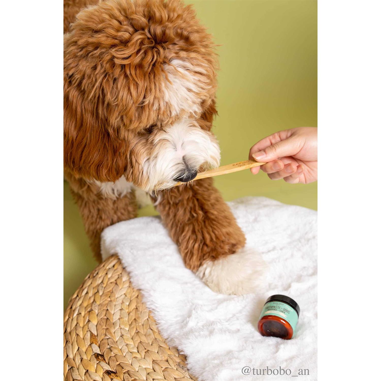 Alternative view of Black Sheep Organics Dog Peppermint Toothpaste