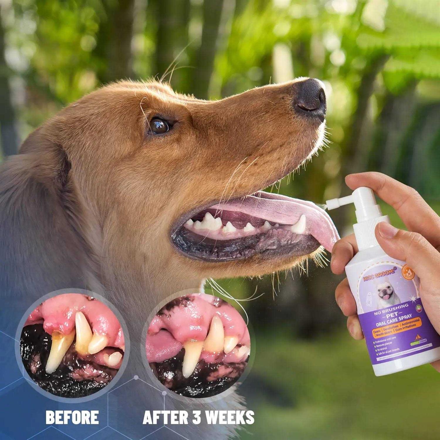 Alternative view of HICC PET Dog Cat Oral Care Spray 5.1 Oz