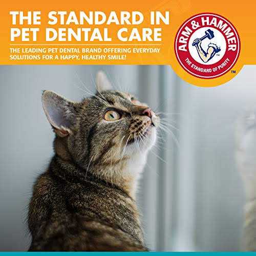 Alternative view of Arm & Hammer Fresh Breath Dental Kit for Cats