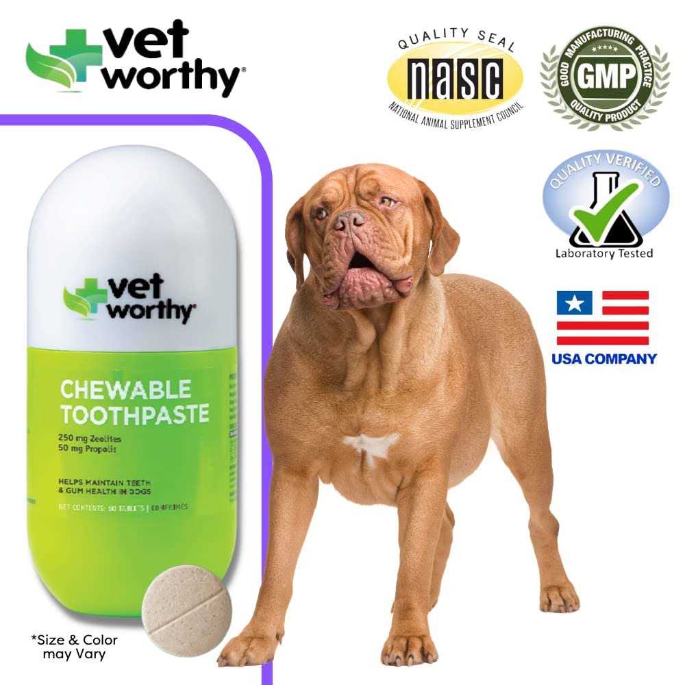 Alternative view of Vet Worthy Chewable Dog Toothpaste