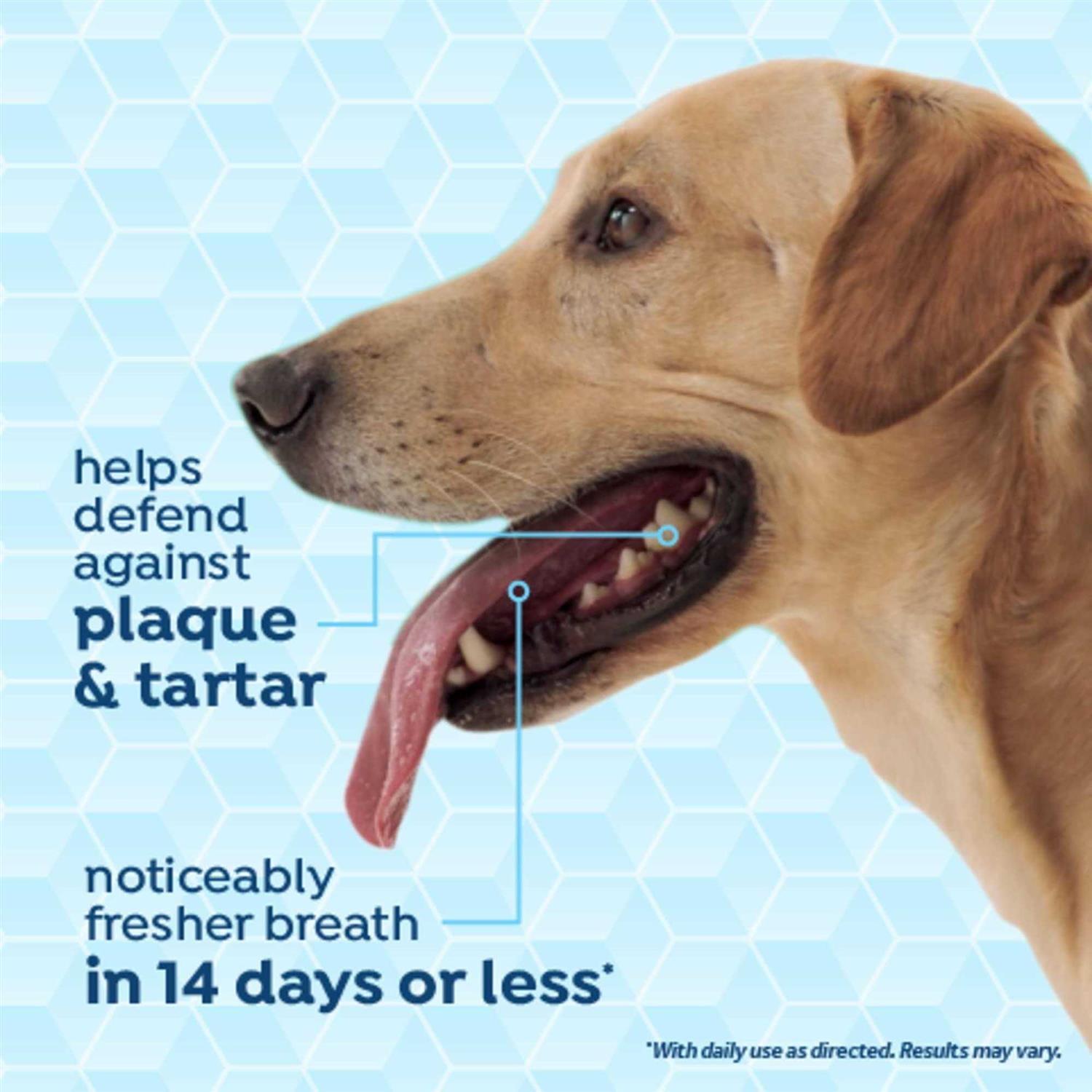 Alternative view of TropiClean Fresh Breath Dog Dental Health Solution