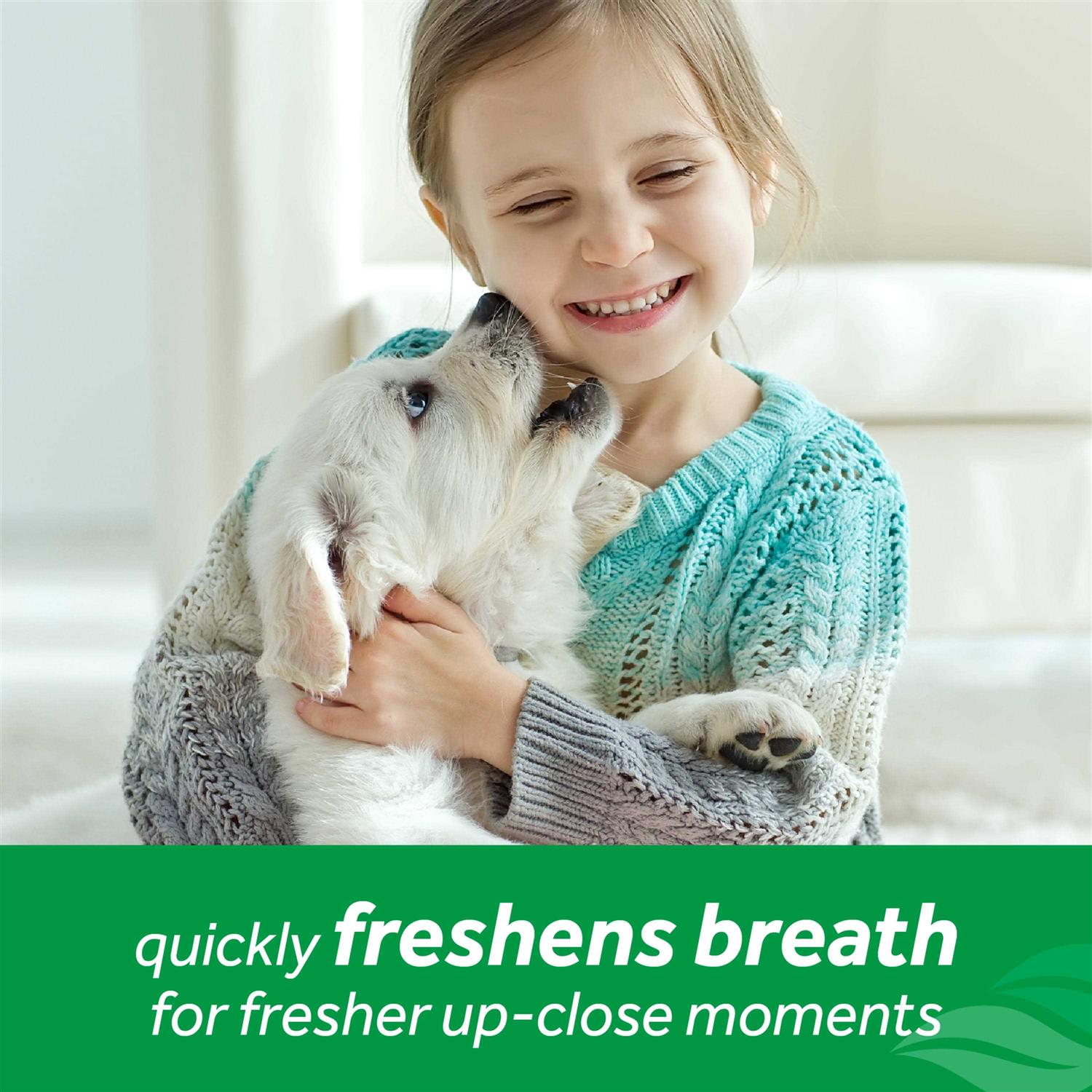 Alternative view of Tropiclean Fresh Breath Oral Care Spray