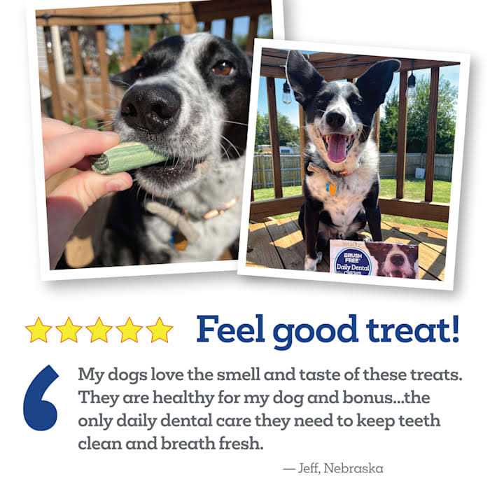 Alternative view of Vetality Brush Free Daily Dental Chews for Dogs