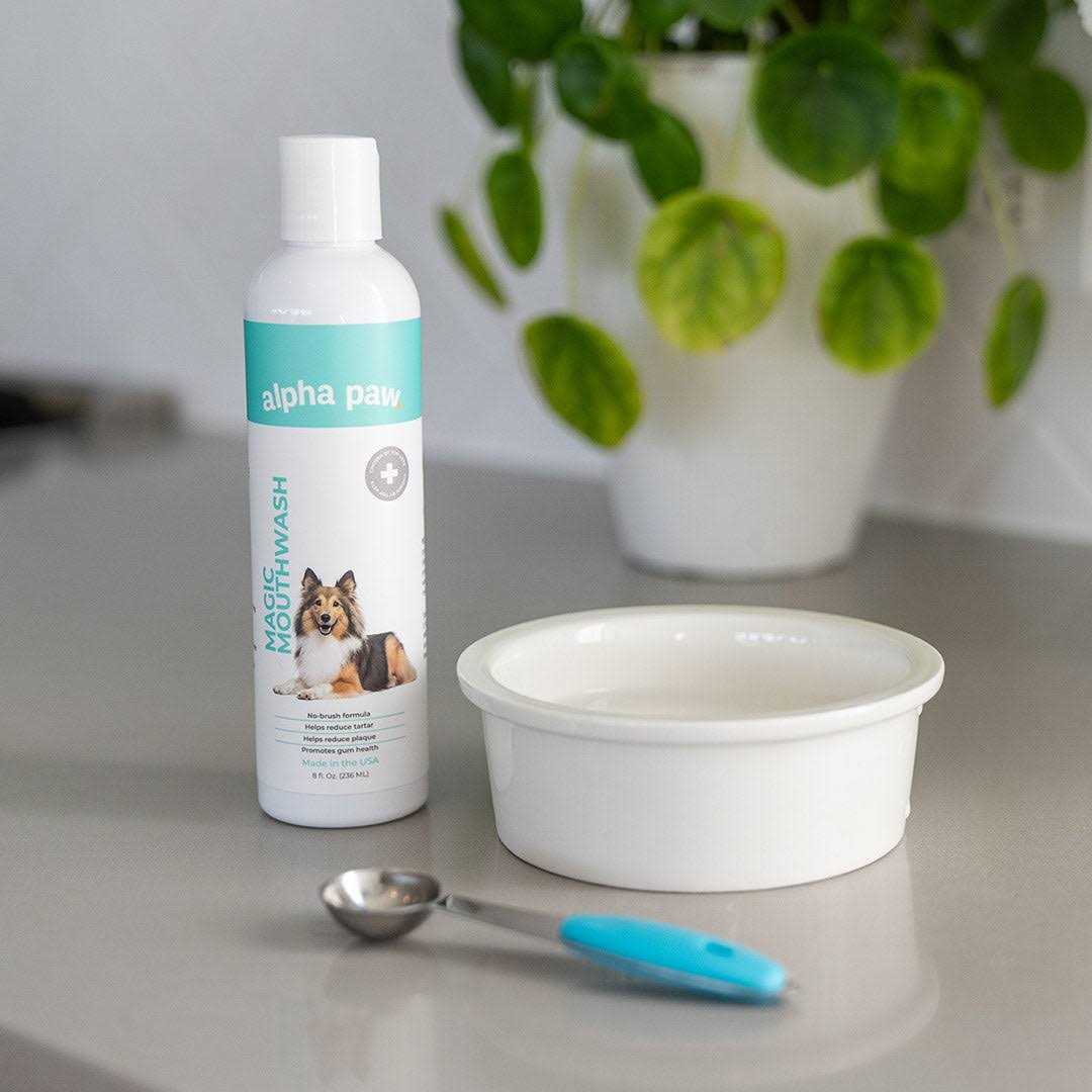 Alpha Paw Magic Mouthwash for Dogs