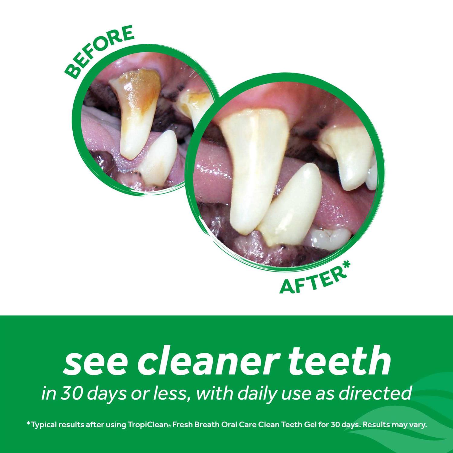 Alternative view of Fresh Breath Tropiclean Clean Teeth Oral Care Gel