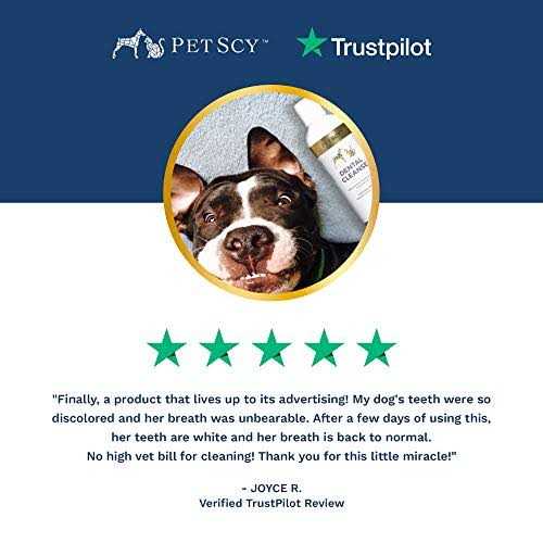 Alternative view of PetScy Dental Cleanse for Dogs & Cats