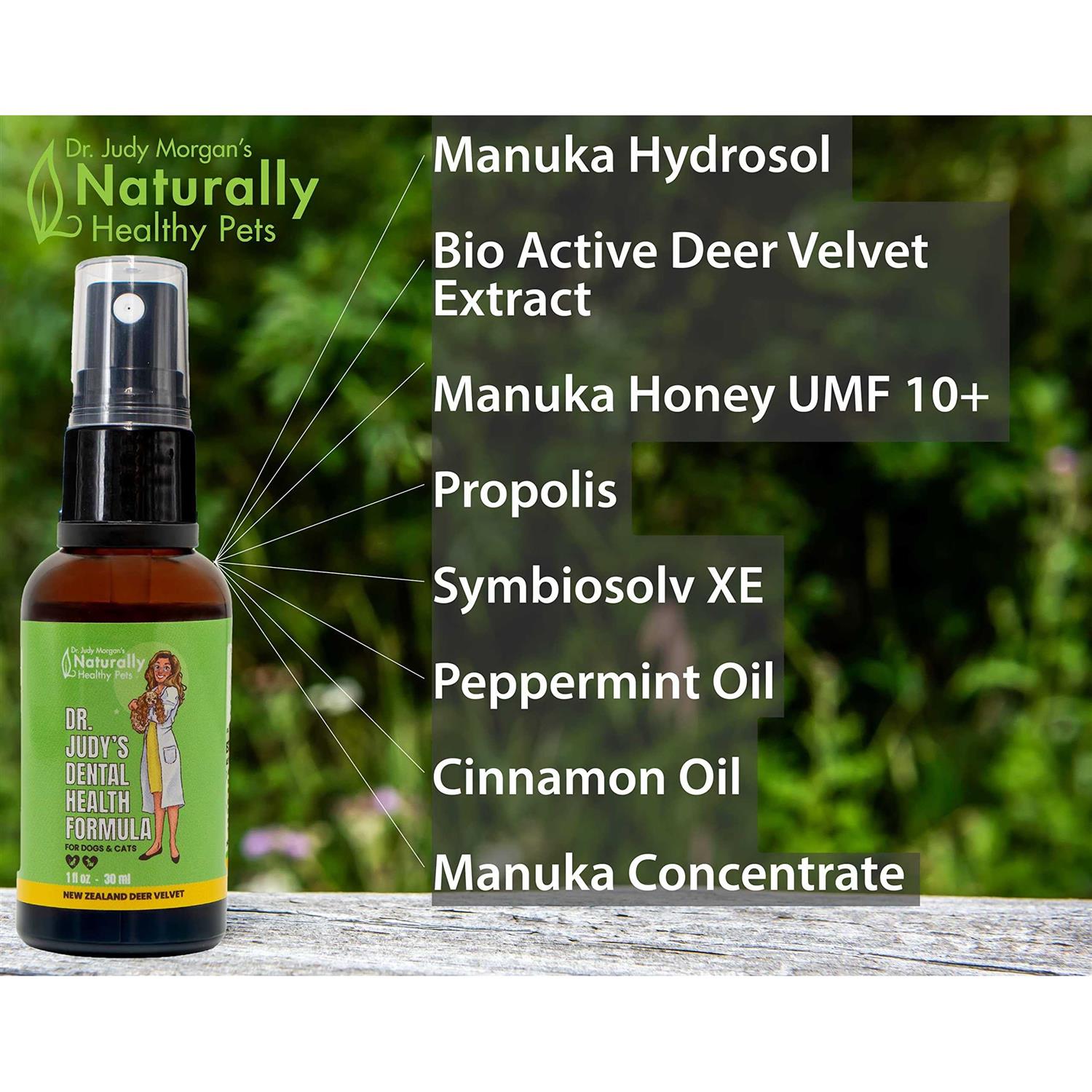 Alternative view of Dr. Judy Morgan's Dental Health Formula for Dogs & Cats Spray Top