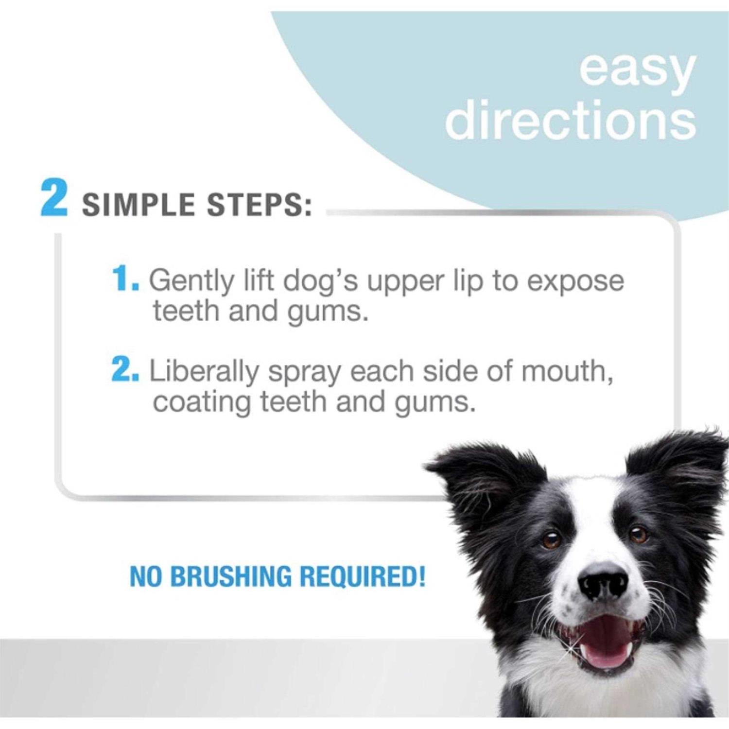 Alternative view of Nylabone Advanced Oral Care Dental Spray