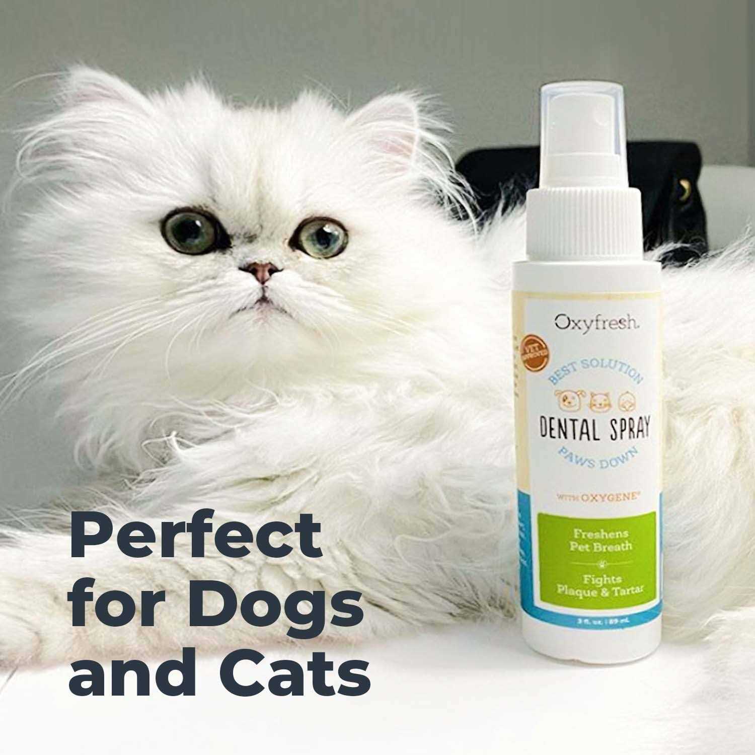 Alternative view of Oxyfresh Pet Dental Breath Spray