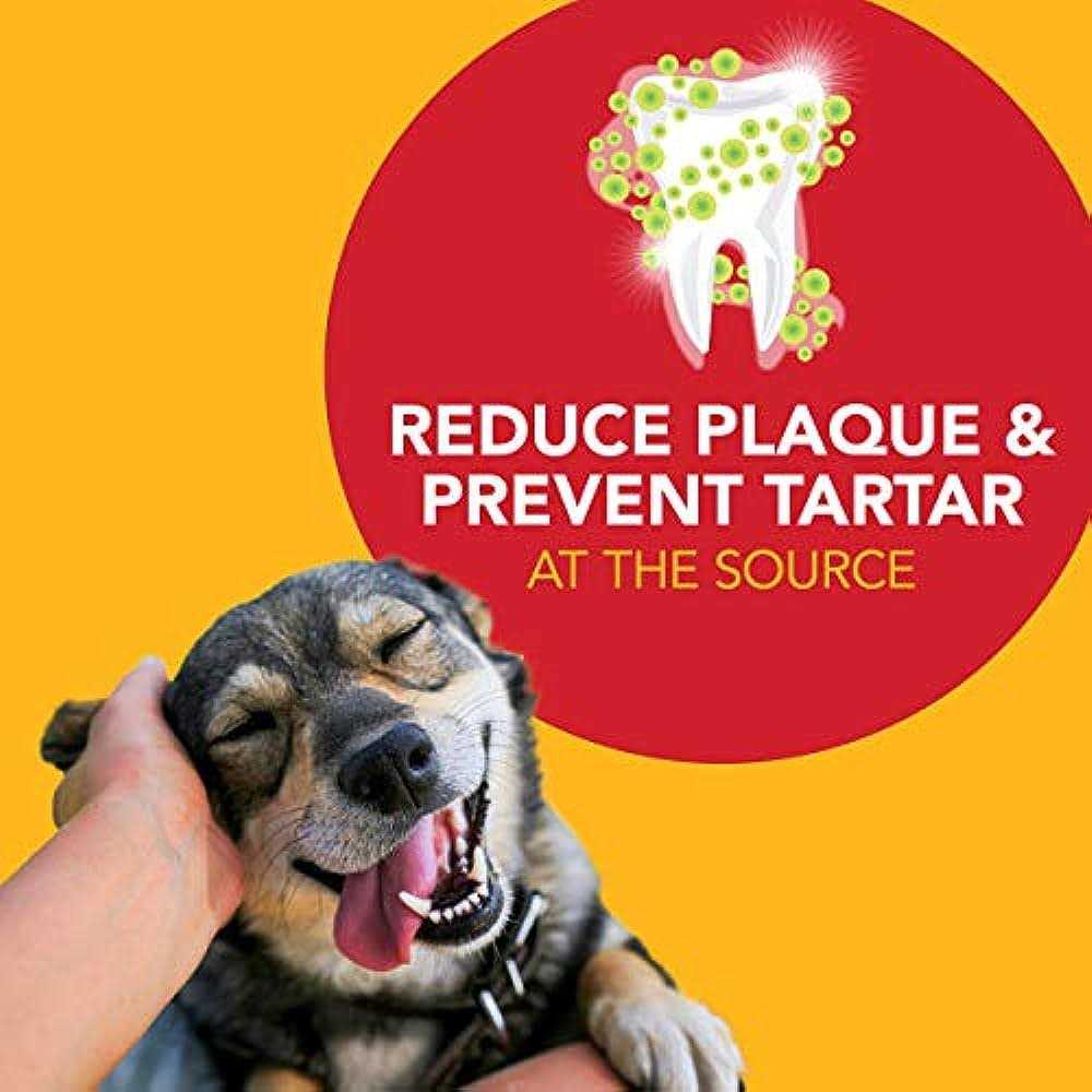 Alternative view of Petrodex Natural Toothpaste for Dogs