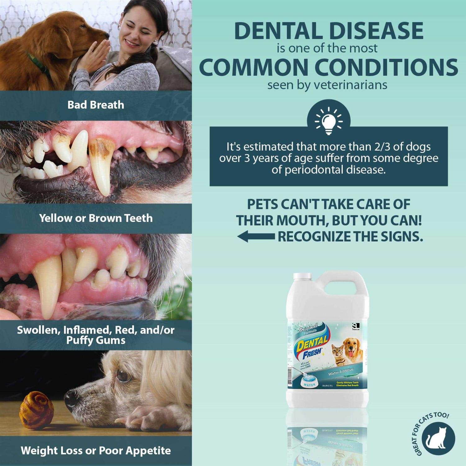 Alternative view of Dental Fresh Original Formula 1 Gallon