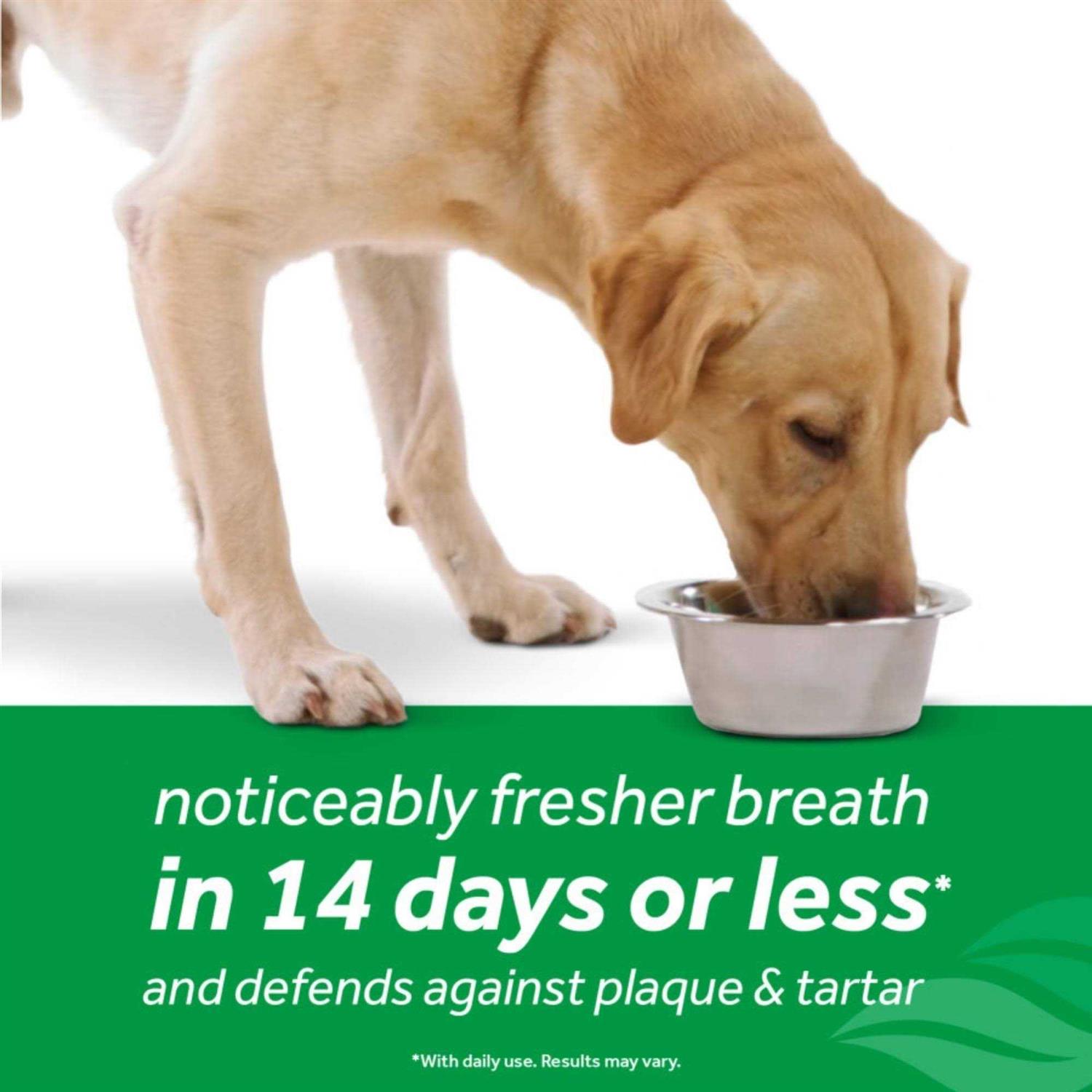 Alternative view of Tropiclean Fresh Breath Oral Care Dog Water Additive