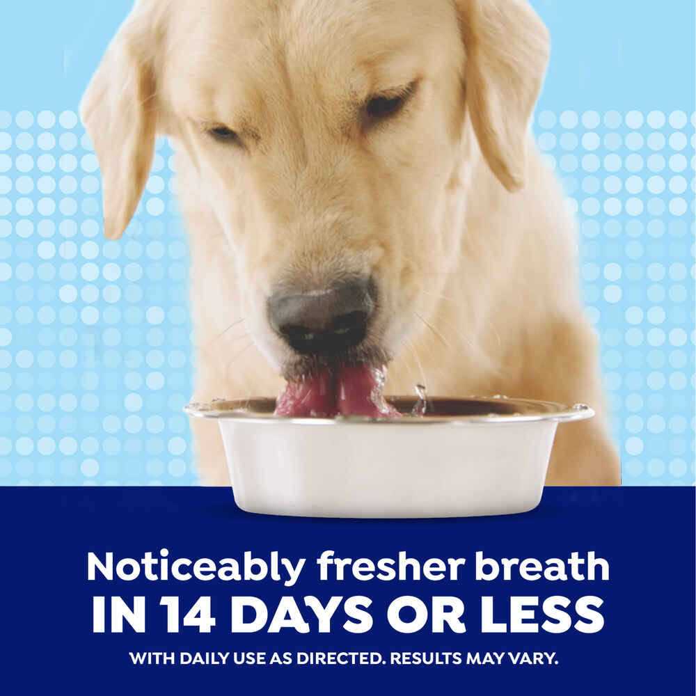Alternative view of Naturel Promise Fresh Dental Water Additive