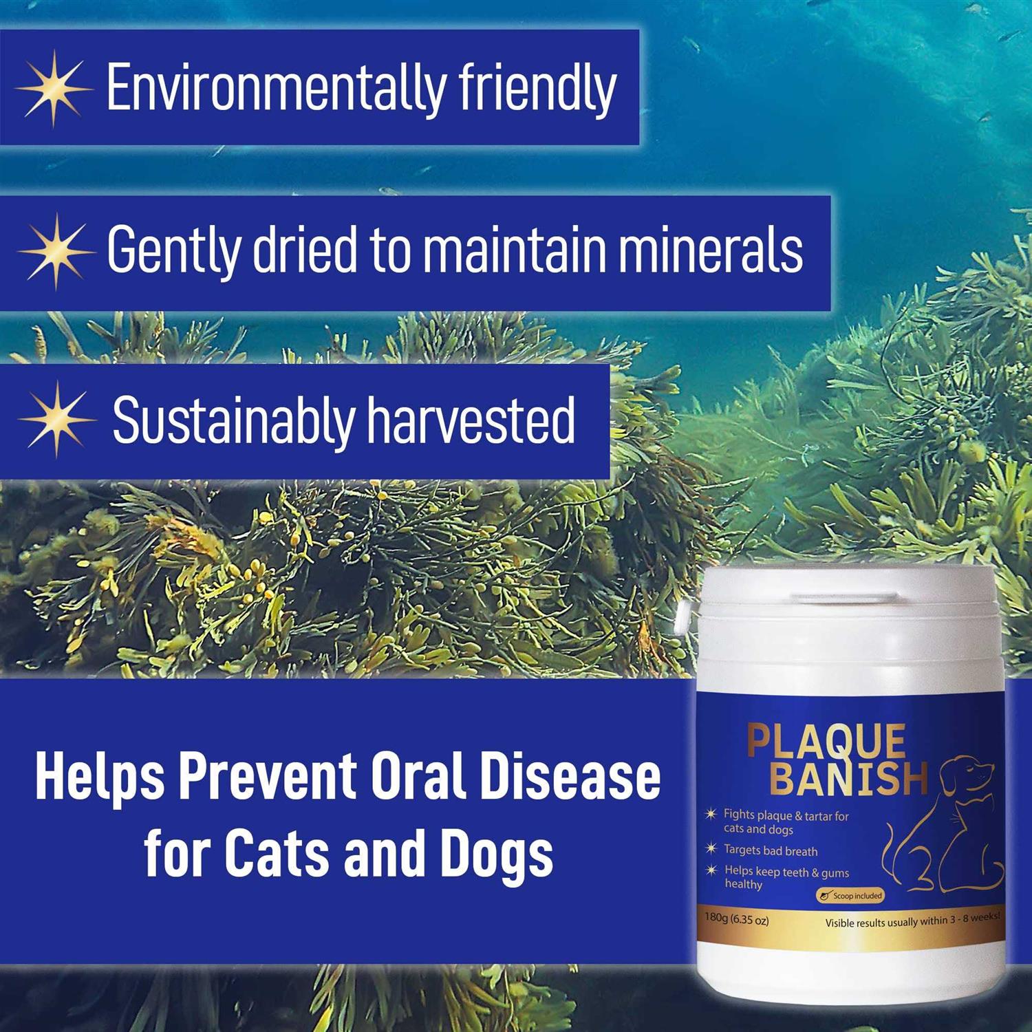 Alternative view of Plaque Banish 100% Natural Plaque Off & Tartar Remover For Dogs & Cats