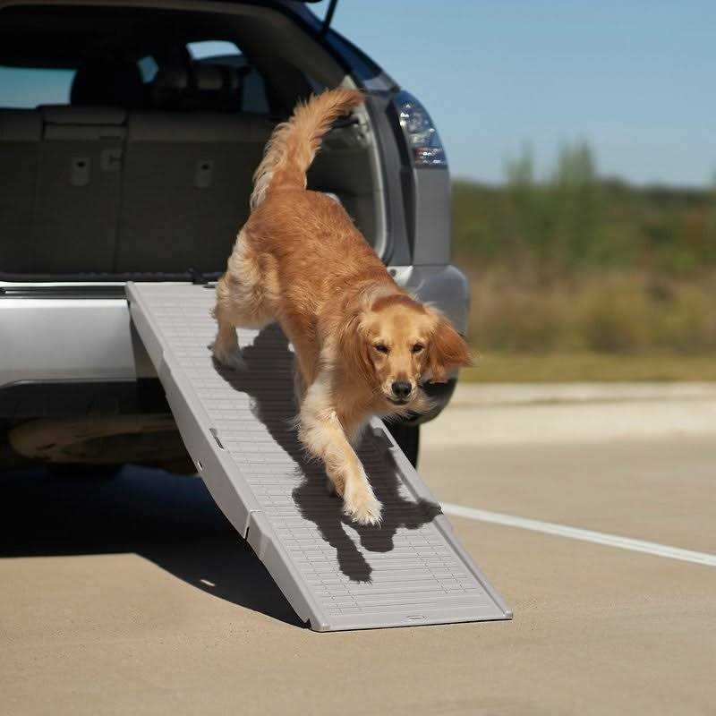 Alternative view of Frisco Tri-Fold Travel Dog Car Ramp