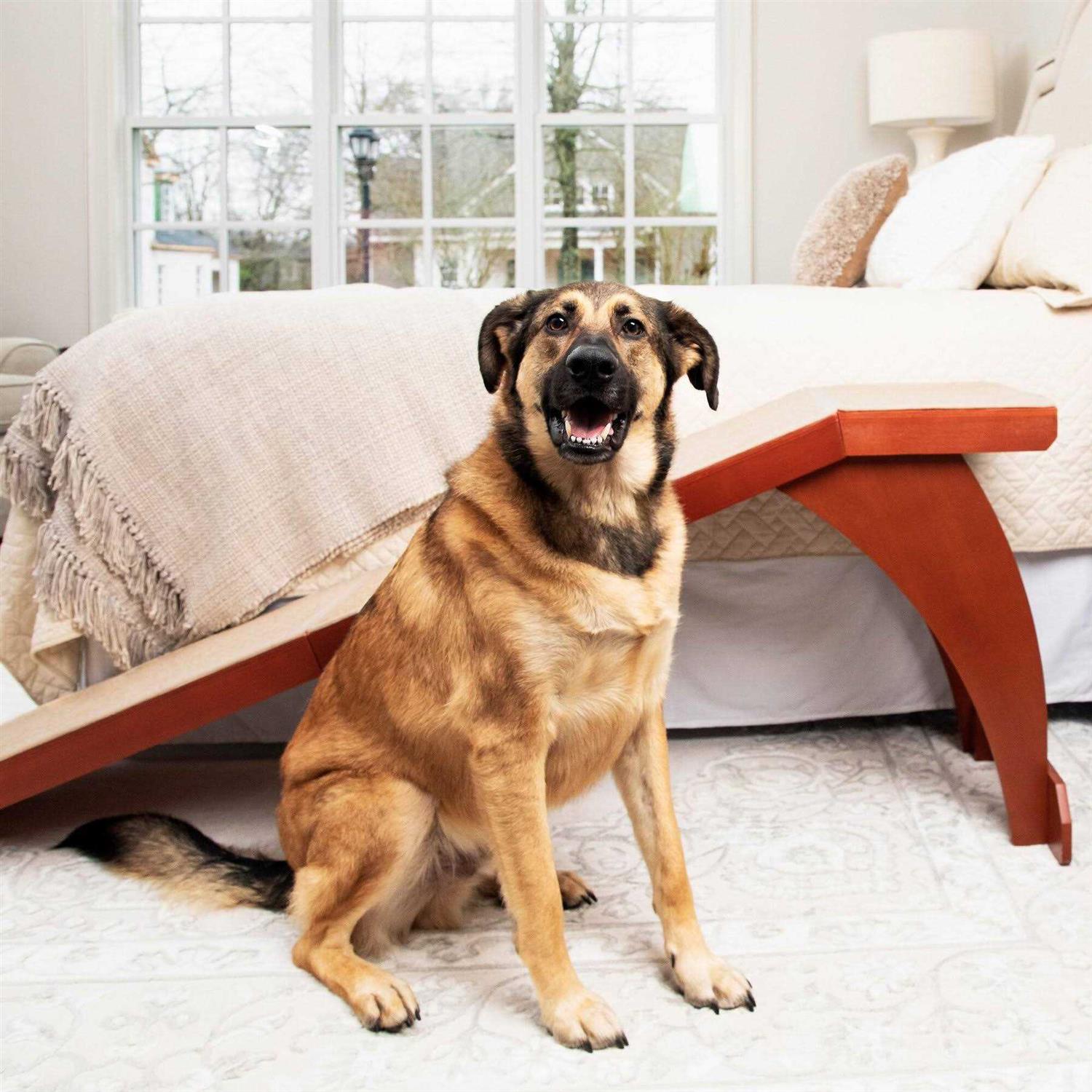 CozyUp Bed Ramp PetSafe