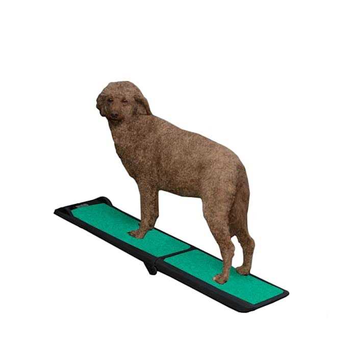 Pet Gear Bi-Fold Travel Lite Pet Ramp with supertraX