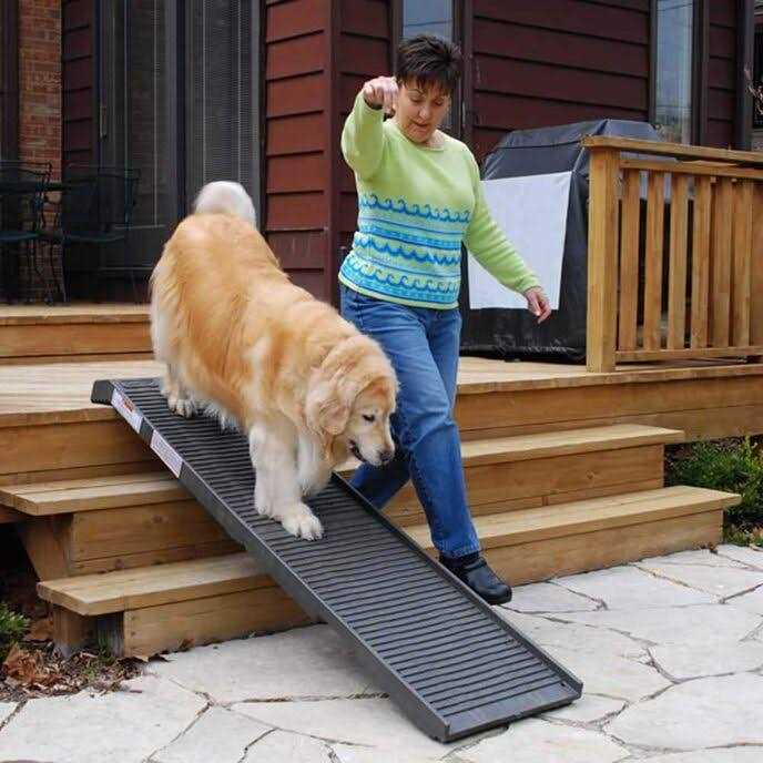 Alternative view of Petstep Folding Dog Ramp