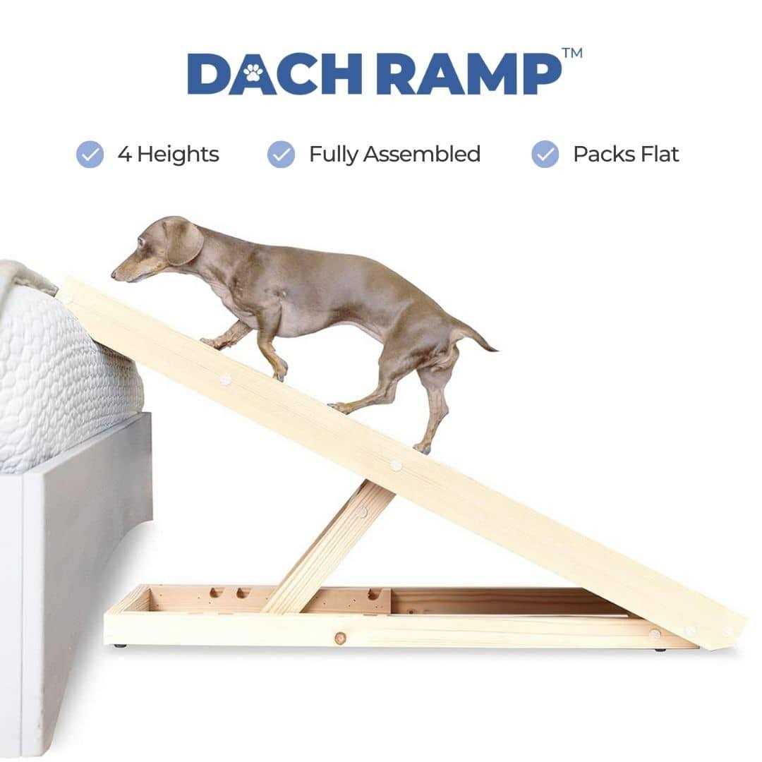 Alternative view of Dachramp The Original Dachshund Ramp