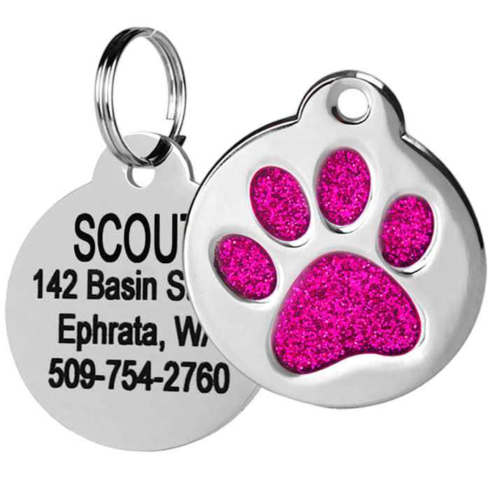 Frisco Stainless Steel Personalized Dog & Cat ID Tag