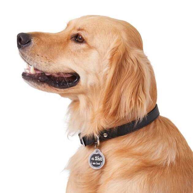 Alternative view of GoTags Anodized Aluminum Personalized Silencer Dog & Cat ID Tag