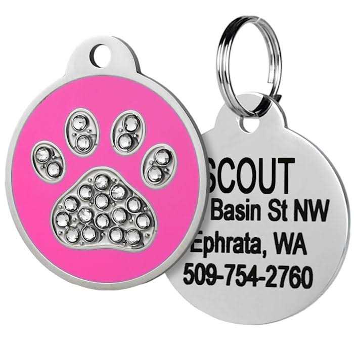 GoTags Stainless Steel Personalized Dog & Cat ID Tag