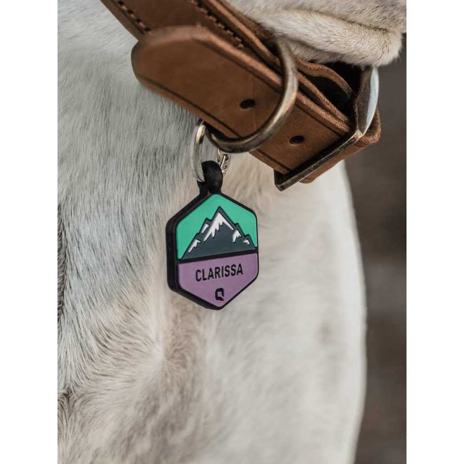 Alternative view of QALO customized Silicone Dog ID Tag