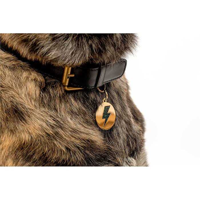 Alternative view of Two Tails Pet Company Lightning Bolt Pet ID Tag