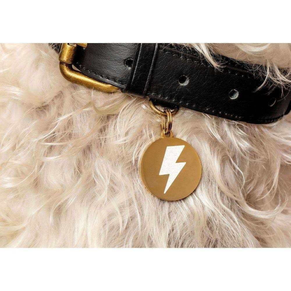 Alternative view of Two Tails Pet Company Lightning Bolt Pet ID Tag