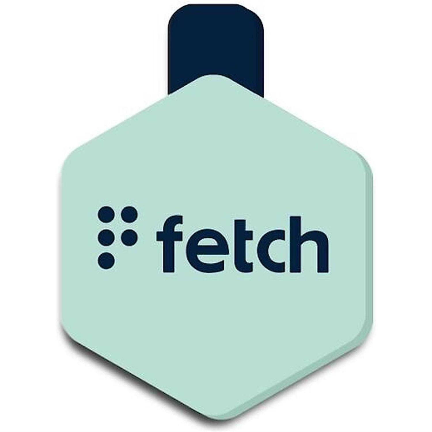 Lifekey Fetch ID Tag