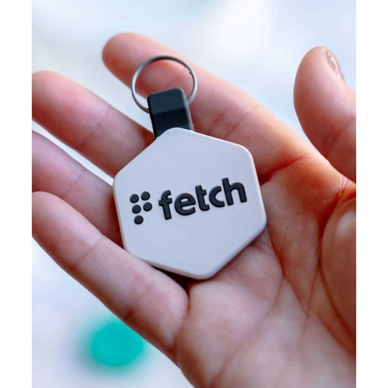 Alternative view of Lifekey Fetch ID Tag