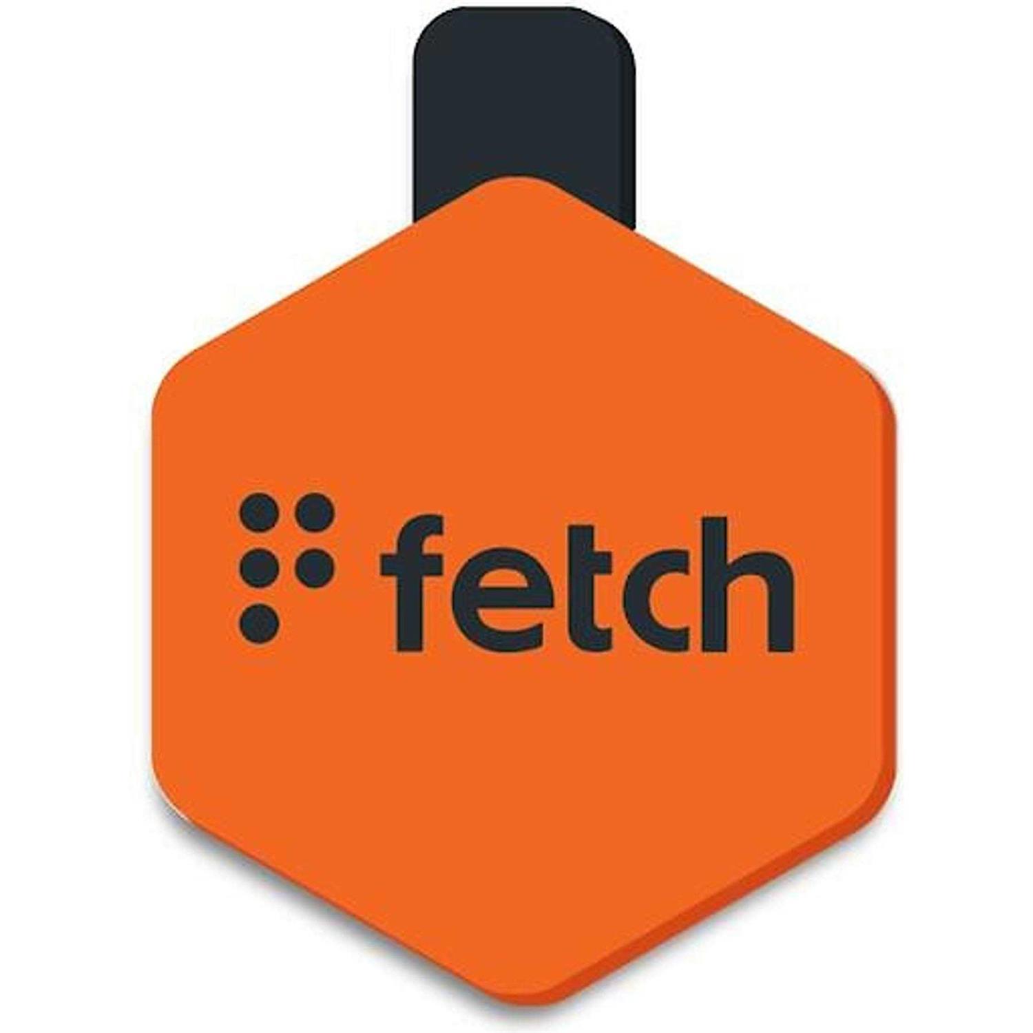 Lifekey Fetch ID Tag
