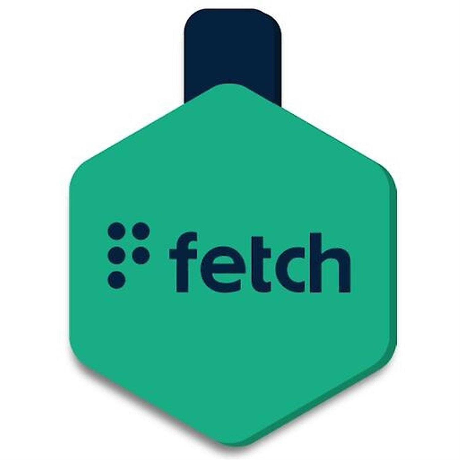 Lifekey Fetch ID Tag