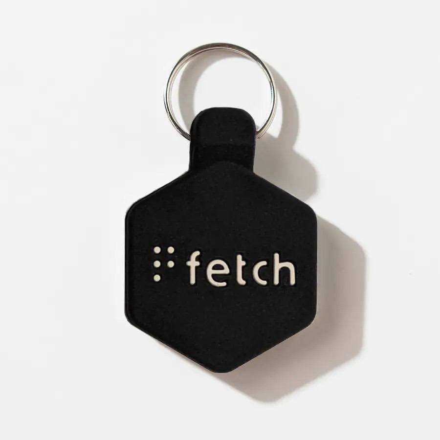 Alternative view of Lifekey Fetch ID Tag