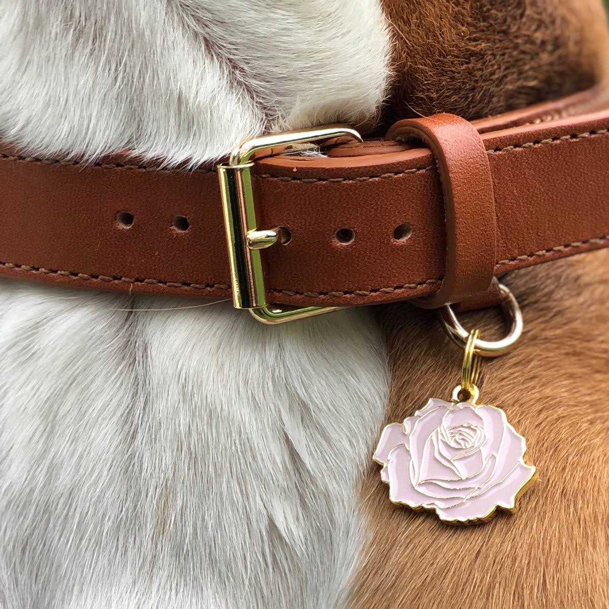 Alternative view of Two Tails Pet Company Rose
