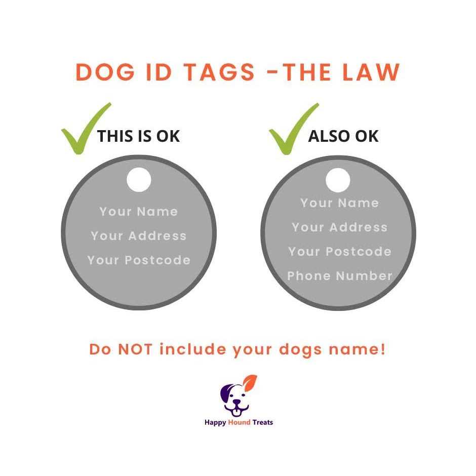 Alternative view of Red Dingo Medical ID Dog Tag