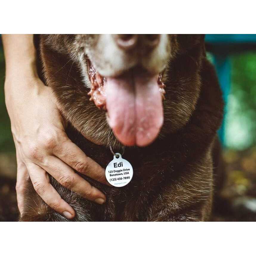 Alternative view of Dog Tag Art Microchip Alert Personalized Dog & Cat ID Tag