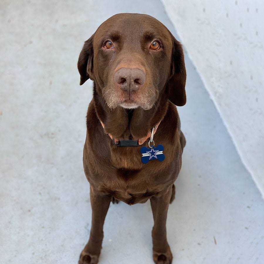 Alternative view of Quick-Tag Dallas Cowboys Dog ID Tag