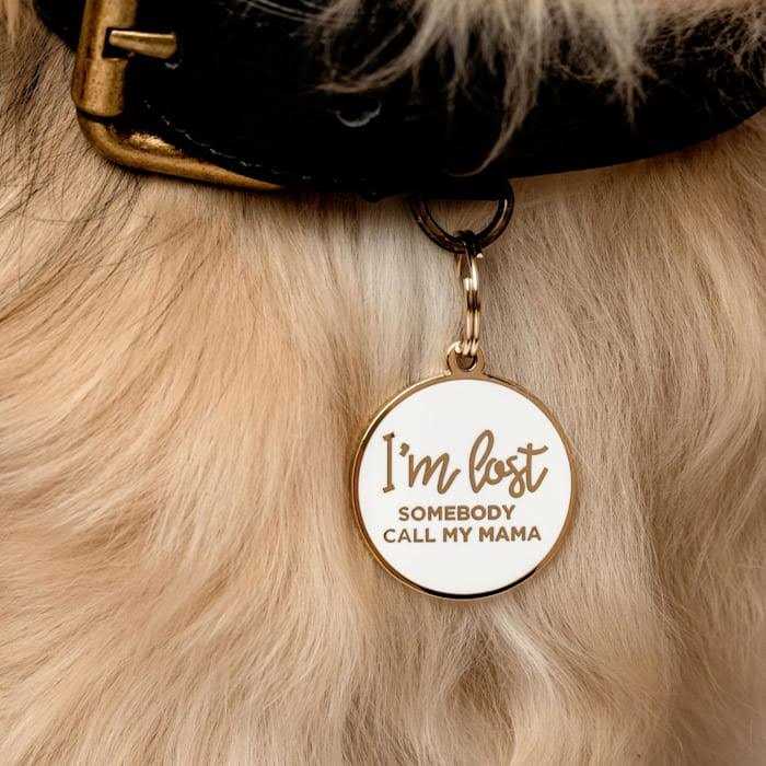 Alternative view of Two Tails Pet Company Gold & White I'm Lost Mama Pet ID Tag