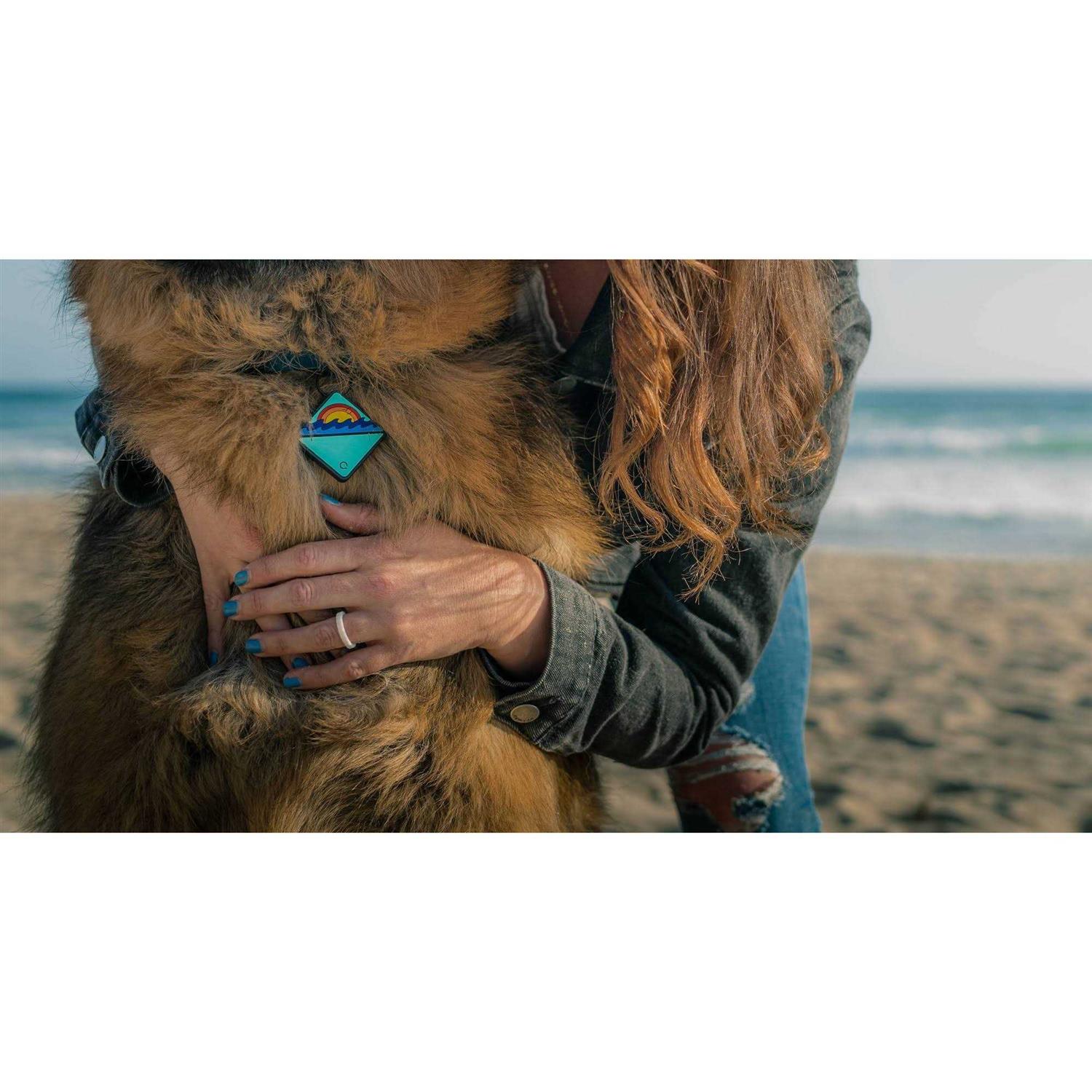 Alternative view of QALO TraQ Dog Silicone ID Tag