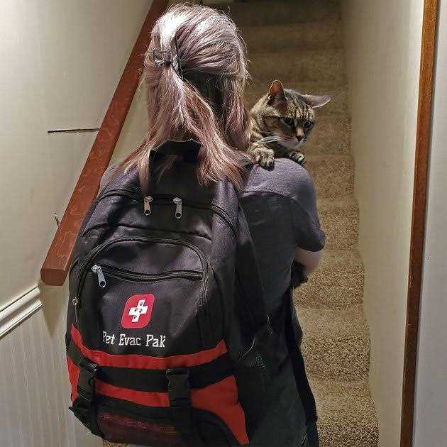 Alternative view of Pet Evac Pak Cat Emergency Backpack