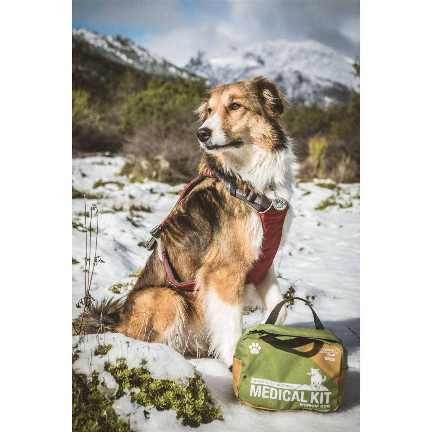 Alternative view of Adventure Medical Dog Series Workin Dog First Aid Kit