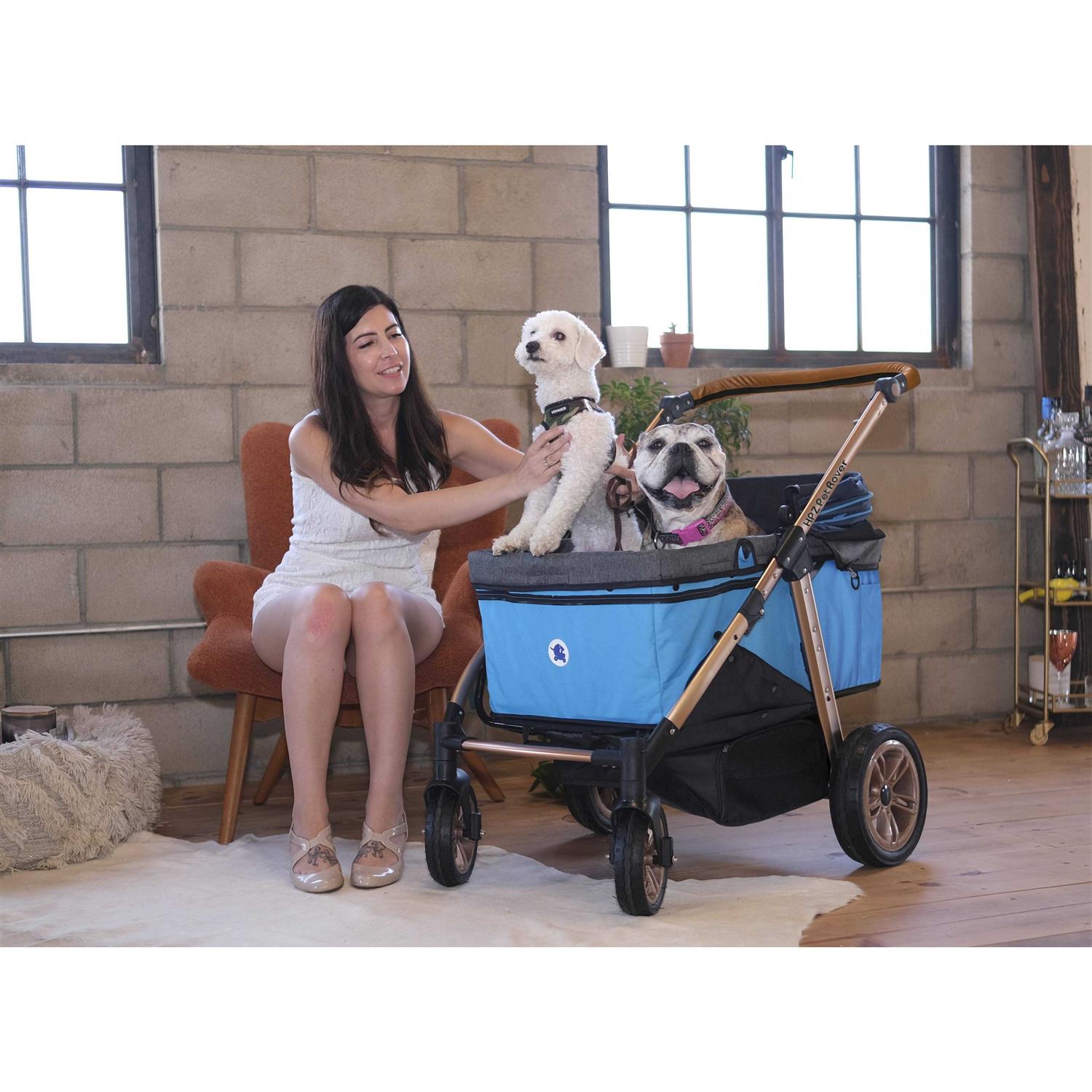 Alternative view of HPZ Pet Rover Titan HD SUV Stroller