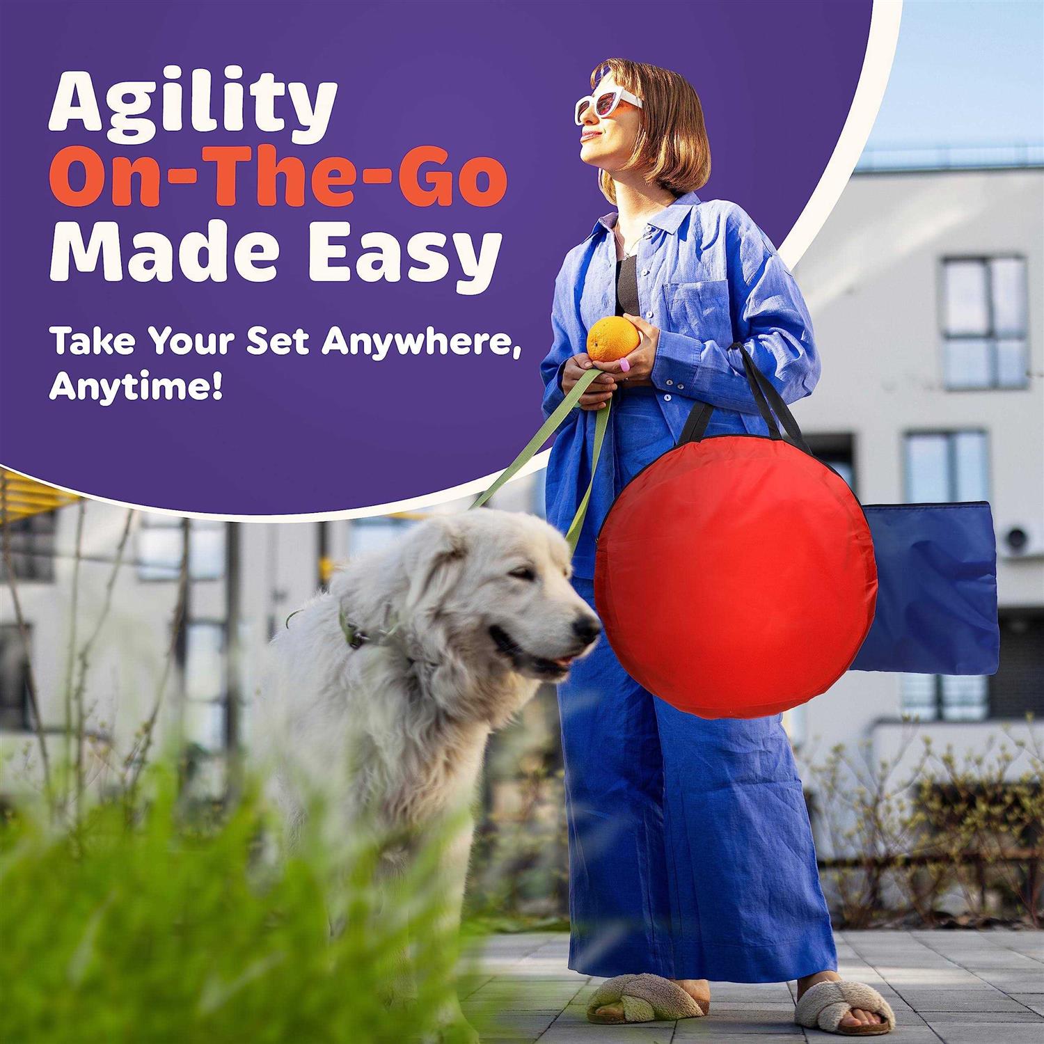 Alternative view of Willow Pet Products 15 Piece Dog Agility Course Backyard Set Dog Agility Training Equipment Set Includes