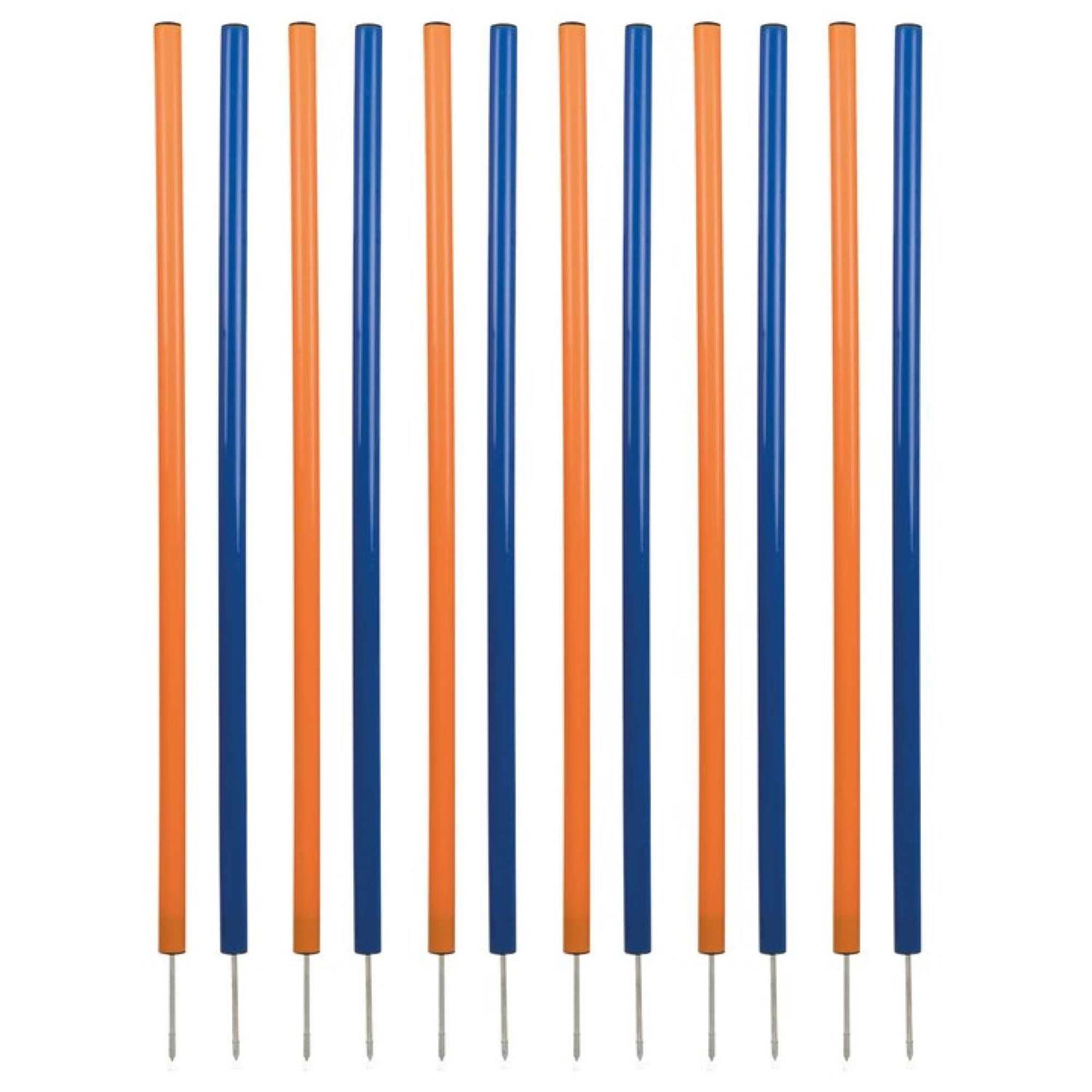 Alternative view of Trixie Agility Slalom Dog Training Poles