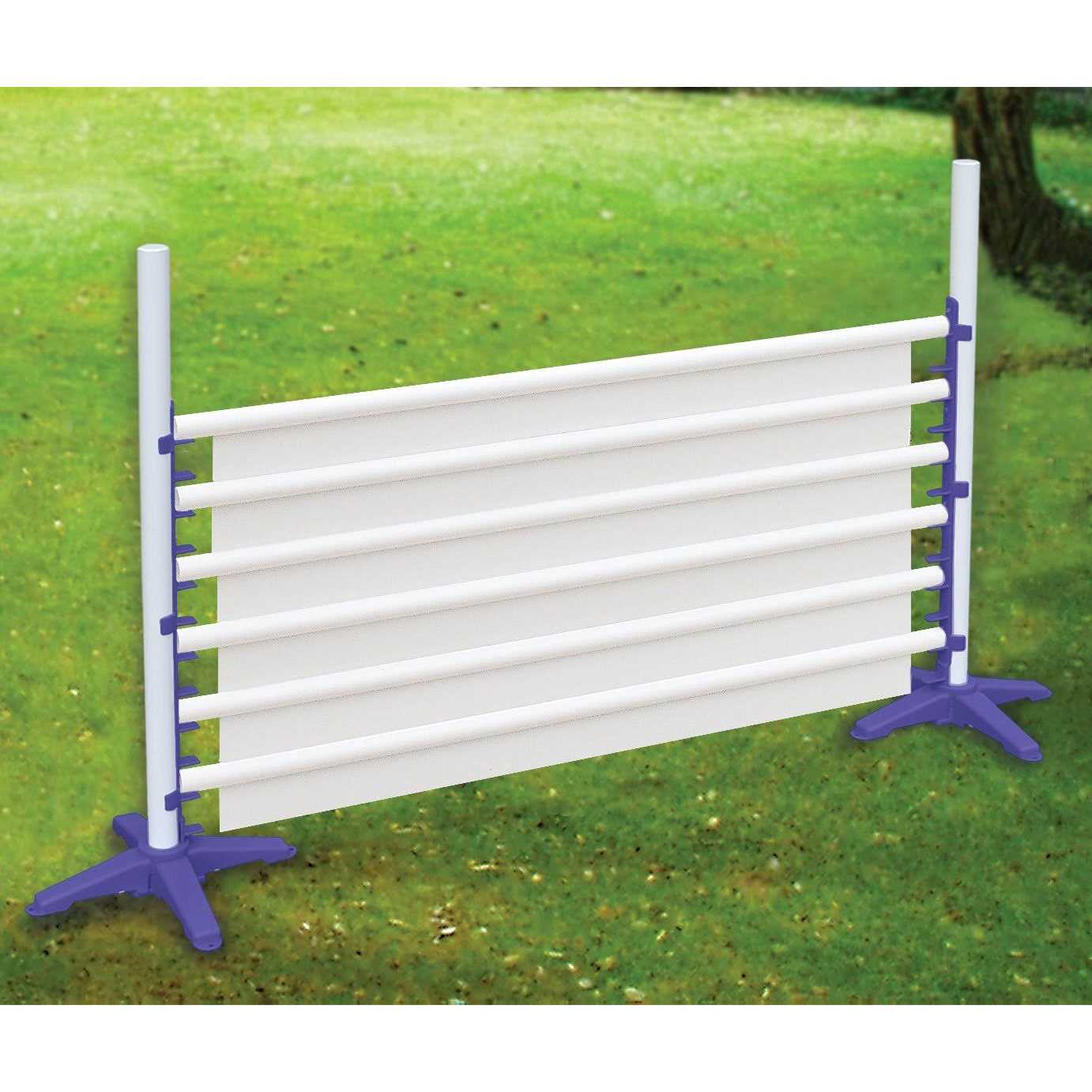 Agility Single and Panel Jumps